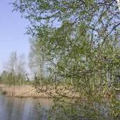 Иоанн Ветхопещерник Иоанн Ветхопещерник
