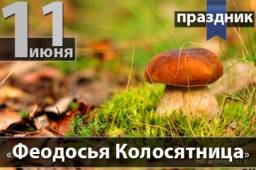 Феодосья Колосятница Феодосья Колосятница