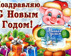 Поздравляю с новым годом свиньи