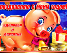 Поздравляю с Новым годом Свиньи