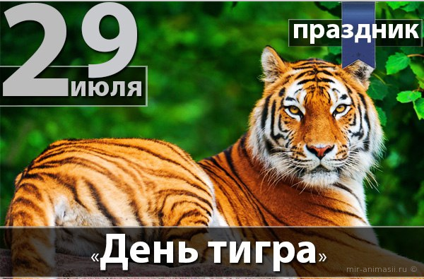 Международный день тигра - 29 июля