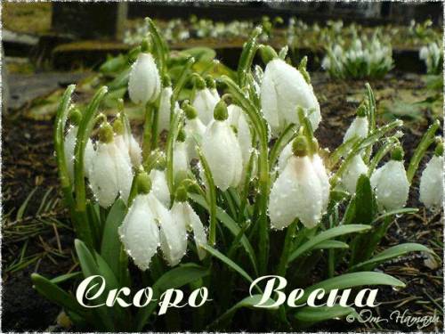 Весеннего настроения~Весна