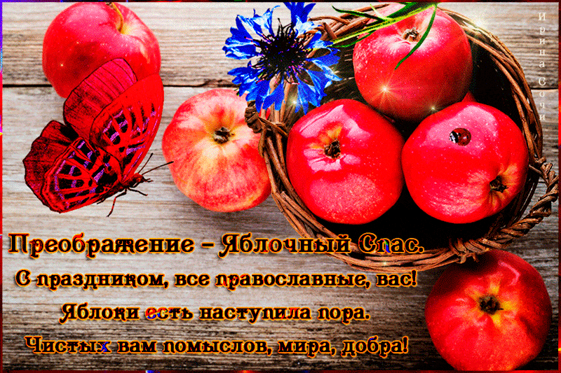 Яблочный Спас праздничная открытка со стихами~С Яблочным Спасом
