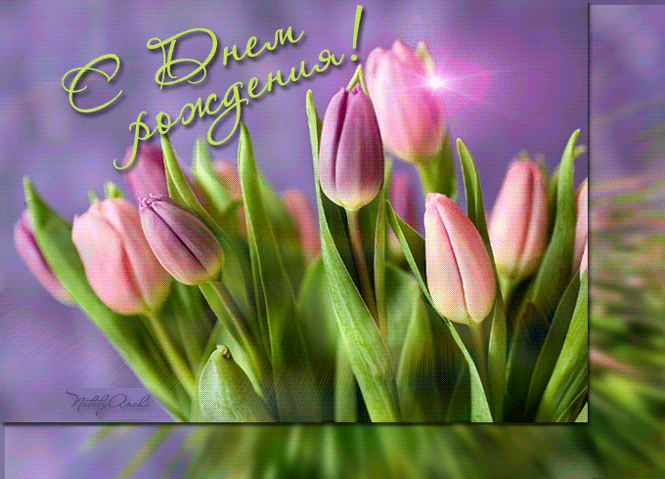 Картинка с днём Рождения букет тюльпанов~День Рождения