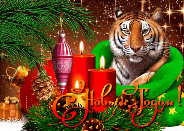С Новым годом Тигра~С Новым годом Тигра
