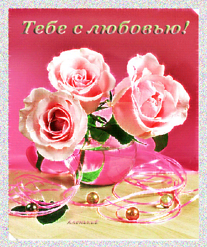 Три розовых розы~Розы