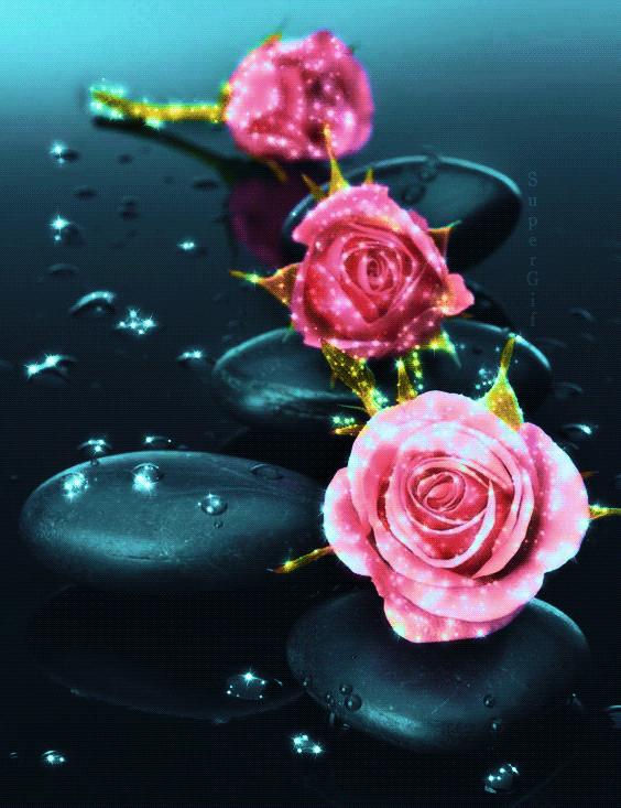 Розы и камни~Розы