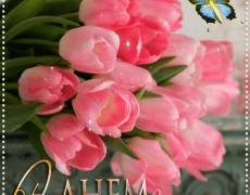 Розовые тюльпаны в день Рождения девушке