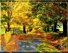 Осень картинки красивые