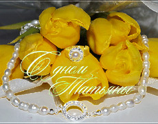Желтые тюльпаны в Татьянин день