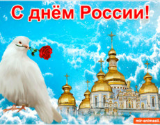 Красивая открытка День России
