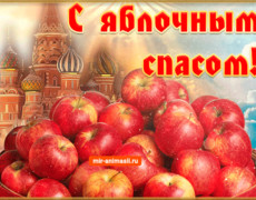 Открытка с праздником Яблочным Спасом