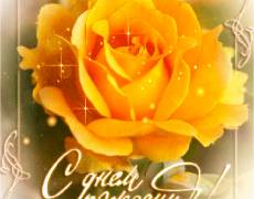 Шикарная Желтая Роза к дню Рождения