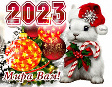С Новым 2023 годом Кролика