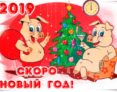 Красивая открытка с наступающим годом свиньи