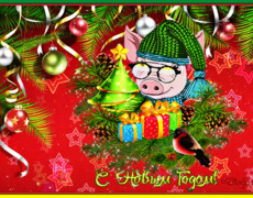 С Новым годом свиньи красивые открытки