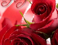 Красивые розы для Вас
