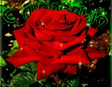 Красная роза с Любовью