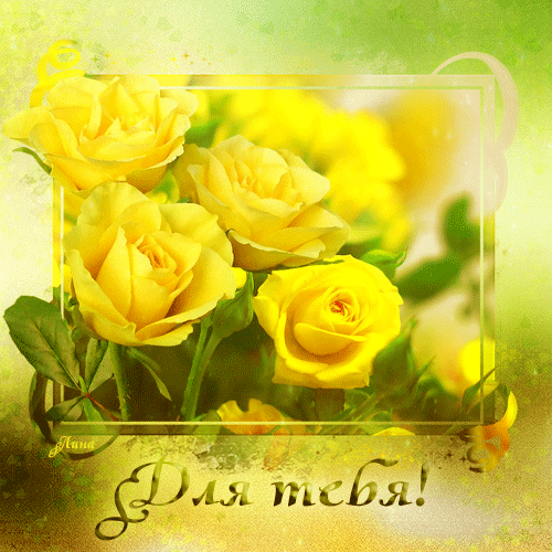Открытка с желтыми розами. Желтые розы. Желтые розы открытки. Поздравления с днем рождения желтые розы. Открытка с днём рождения желтые розы.