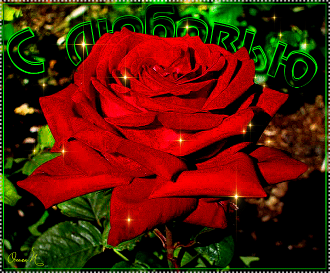Красная роза с Любовью