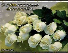 Белые розы с Нежностью для тебя!