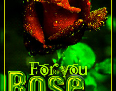 For you Rose