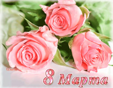 Розы в подарок к 8 марта