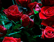 Розы на 8 марта Для тебя
